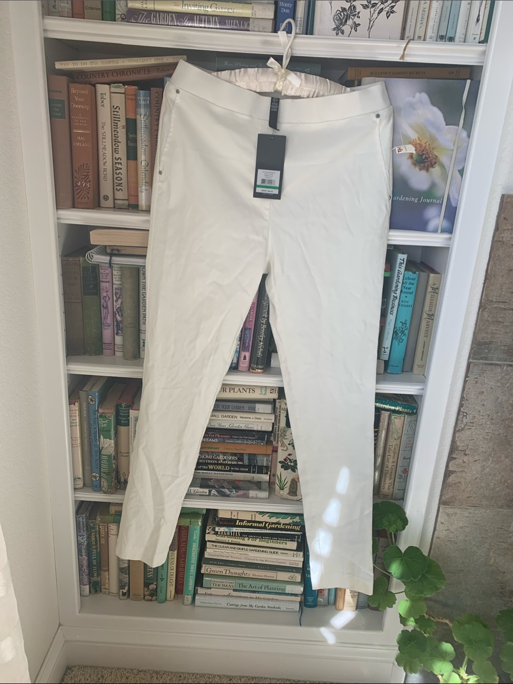 Jones New York White Skinny Pants